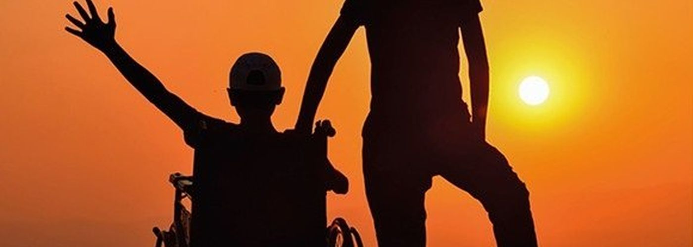 Seminario on line “Insieme verso il futuro”. Autonomia e Vita indipendente fra normativa e risvolti psicologici.